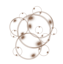 //www.davines.tw/cdn/shop/t/12/assets/davines-line-liquid-spell-deco-3.png?v=46280387748838644991750215506