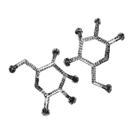 //www.davines.tw/cdn/shop/t/12/assets/davines-line-naturaltech-deco-3.png?v=48525519344944069281750215511