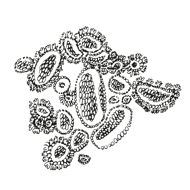 //www.davines.tw/cdn/shop/t/12/assets/davines-line-naturaltech-deco-4.png?v=171189248533084119171750215512